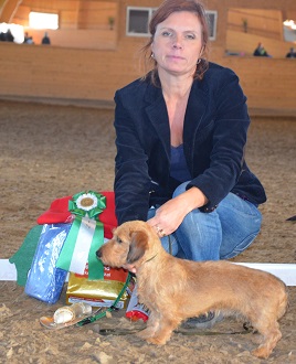 2014_bis_4_sd_webb.jpg