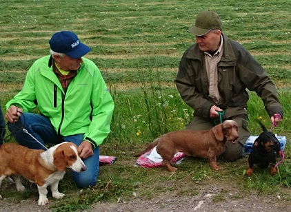 dreverkampen_2015_3-2-1.jpg