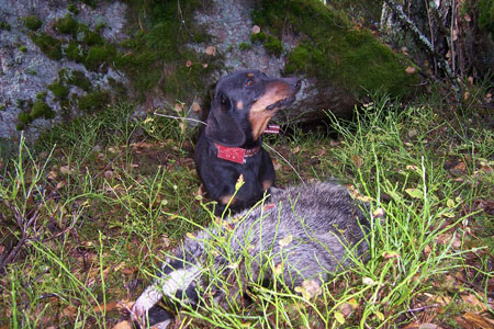 gravlingsjakt-4-okt-2008.jpg