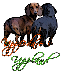 imgp1667_urklippt_ny_.jpg