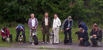 jakthundsdressyr_gruppen_webb.jpg