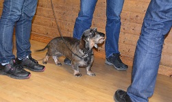 mingel_efter_lottning_8_webb.jpg