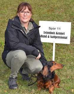 sparsm_spar_11.jpg