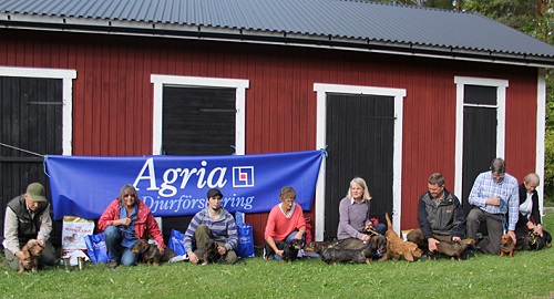 uppsalaprovet15_alla_deltagarna.jpg