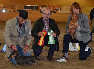 utstallning_130929_bir_skn_nr_41_bim_skn_nr_43_webb.jpg