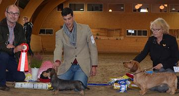 utstallning_130929_bis_webb.jpg