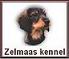 zelmaas_webb.jpg